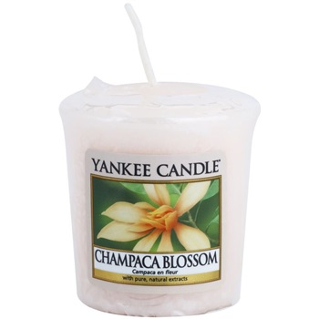 Yankee Candle Champaca Blossom votivní svíčka 49 g