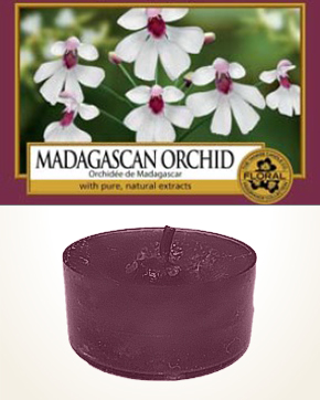 Yankee Candle Madagascan Orchid čajová svíčka vzorek 1 ks