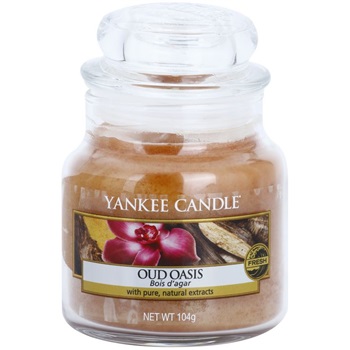 Yankee Candle Oud Oasis vonná svíčka 104 g Classic malá 