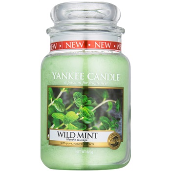 Yankee Candle Wild Mint vonná svíčka 623 g Classic velká 