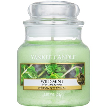 Yankee Candle Wild Mint vonná svíčka 104 g Classic malá 