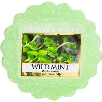 Yankee Candle Wild Mint vosk do aromalampy 22 g